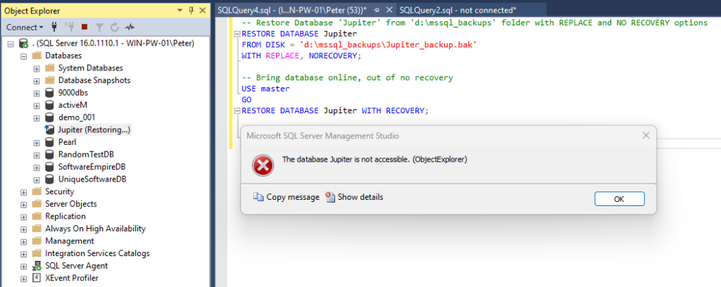 database cannot be opened middle of a restore