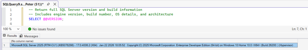 SELECT @@VERSION output showing SQL Server version build and operating system details