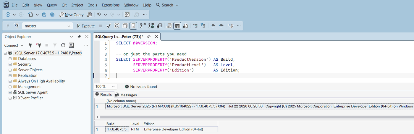 SELECT @@VERSION and SERVERPROPERTY results in SSMS showing SQL Server 2025 build 17.0.4075.5, RTM-CU8, Enterprise Developer Edition