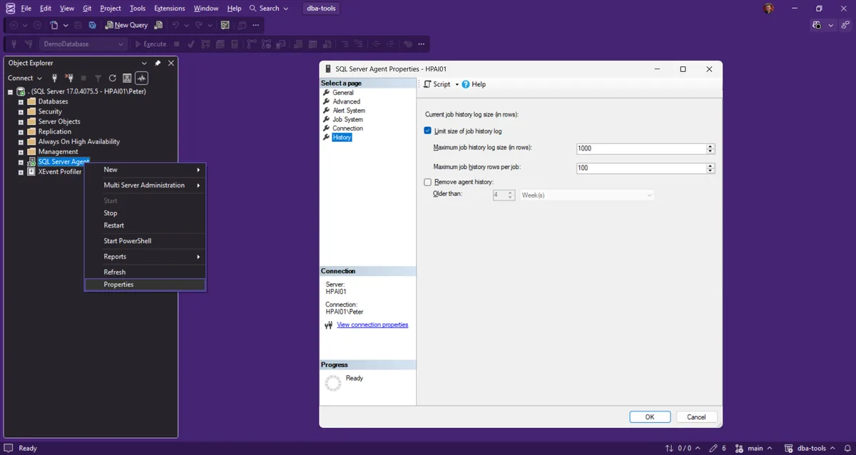 SQL Server Agent Properties, History page SQL Server Agent Properties dialog in SSMS on the History page, Limit size of job history log ticked with maximum 1000 rows and 100 rows per job, Remove agent history unticked